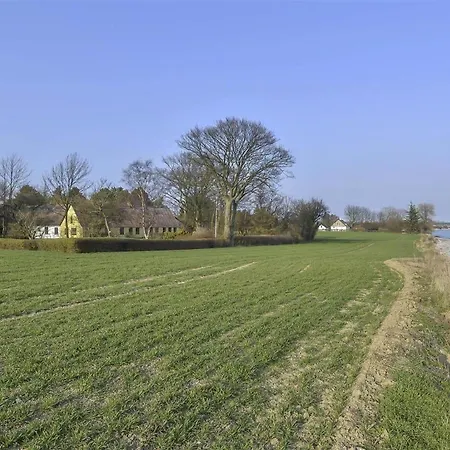 4308-stege-engblommen-2